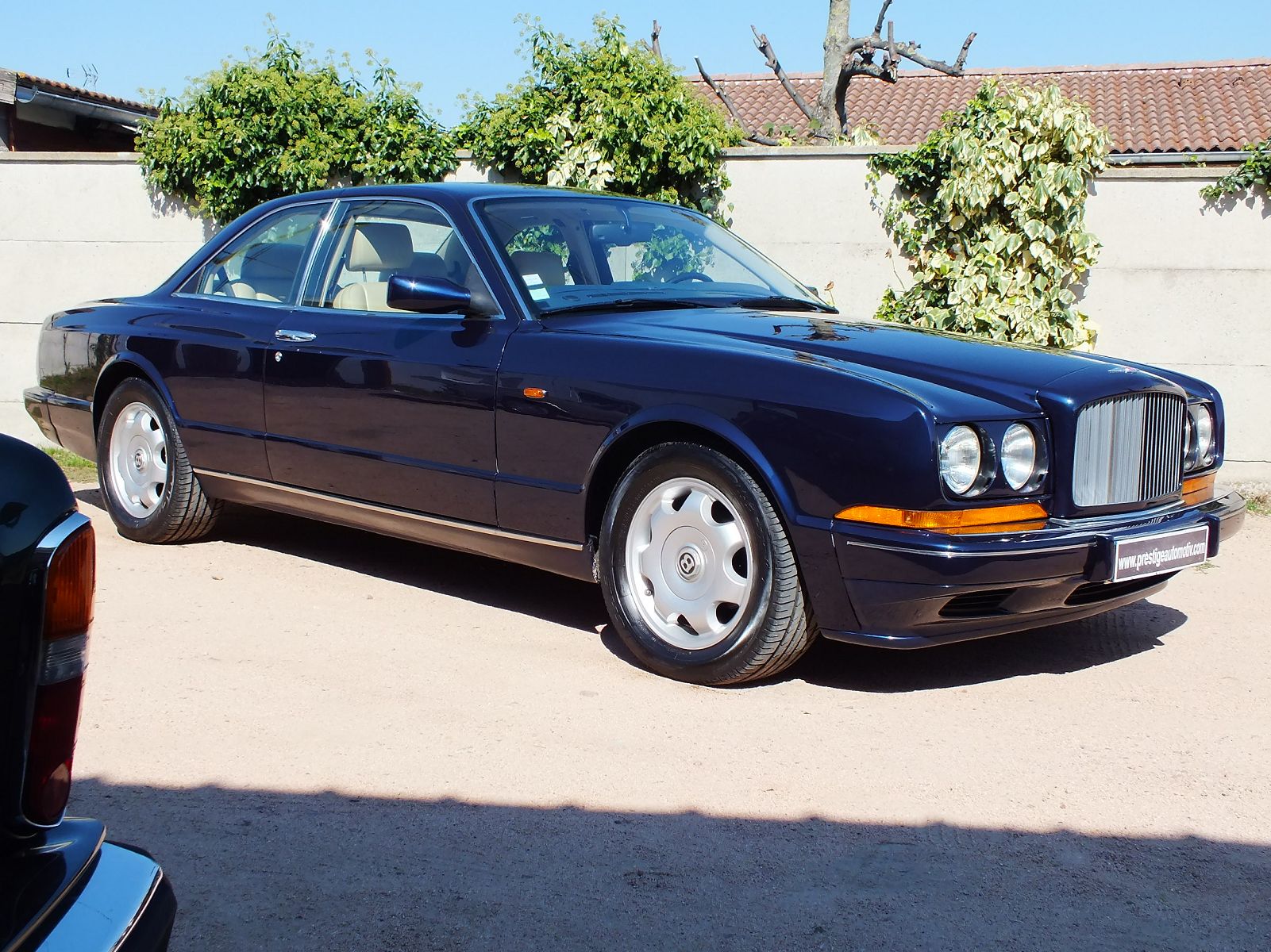 Bentley Continental R